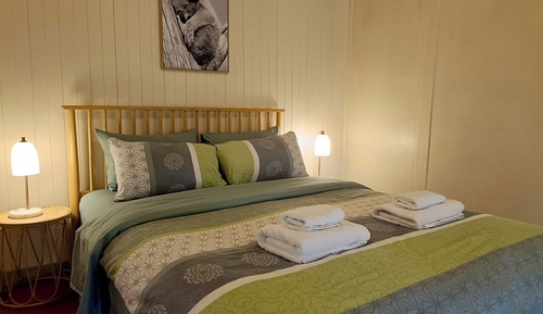 HoneyBee (1 Queen) with Spa and Woodfire