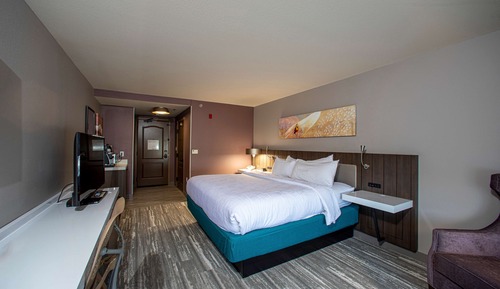 Room, 1 King Bed
