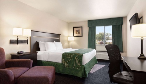 Room, 1 King Bed, Accessible, Non Smoking