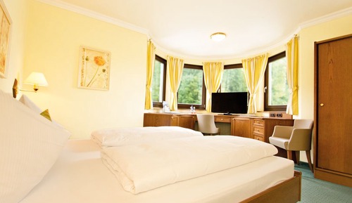 Double Room, Mountain View (Schober)
