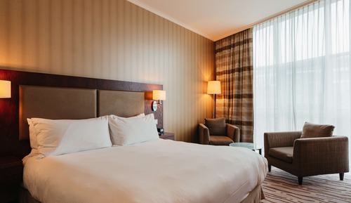 Room, 1 King Bed