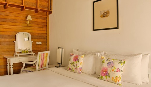 Deluxe Attic