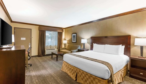 Standard Room, 1 King Bed, Non Smoking, Refrigerator & Microwave (Pet Friendly)