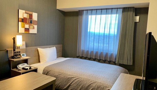 Superior Single Room, Non Smoking, Mountain View