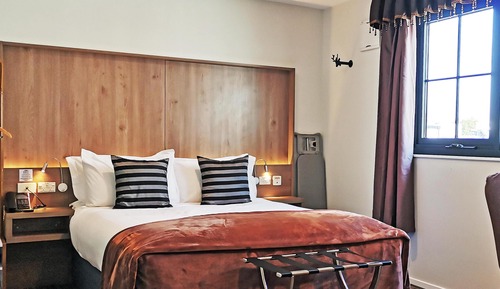 Business Class Queen Studio