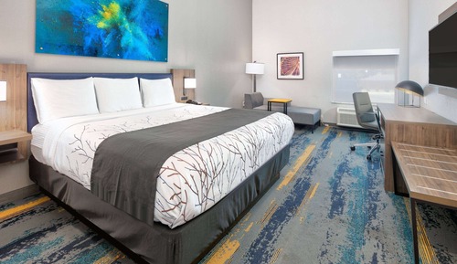 Studio Suite, 1 King Bed with Sofa bed, Accessible, Non Smoking (Mobility,Hearing,Tub w/Grab Bars,)