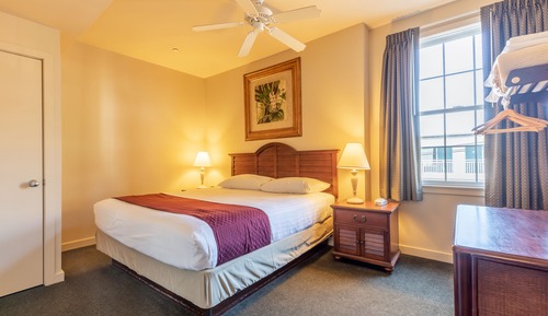 1 Bedroom Apartment 1 King