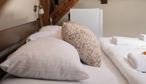 Basic Double Room