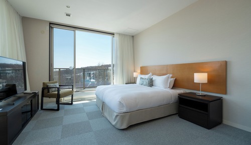 3 Bedroom Penthouse Mt Yotei View