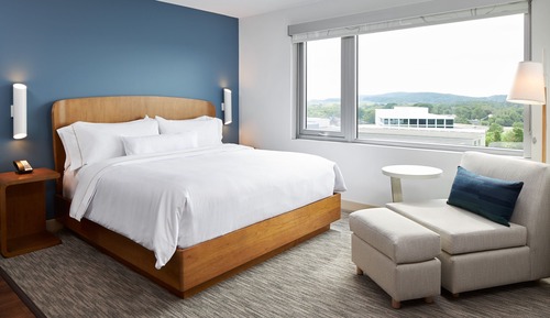 Standard Room, 1 King Bed (Mobility/Hearing Access, Roll-In Shwr)