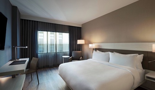 Room, 1 King Bed, Non Smoking