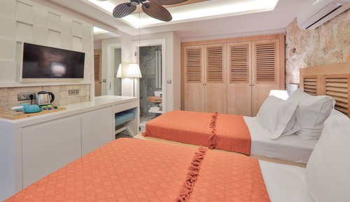 Classic Twin Room