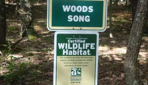 House, Multiple Beds (Woods Song - Natures Promise)
