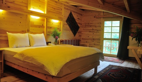 Standard Room, 2 Double Beds, Non Smoking, Mountain View