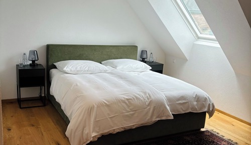 Comfort Double Room Single Use, Non Smoking, Air conditioning
