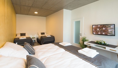 Grand Apartment, 1 Bedroom