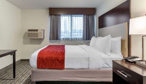 Standard Room, 1 Queen Bed, Accessible, Non Smoking