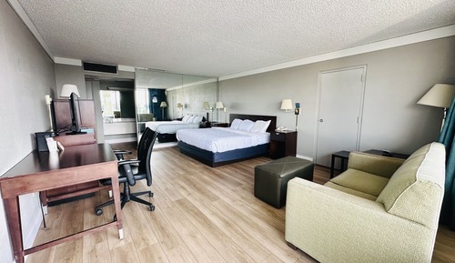 Junior Suite, 1 King Bed, Non Smoking, Microwave