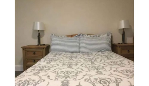 Room, 1 King Bed