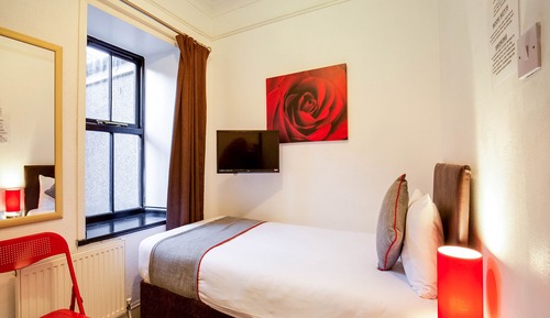 Single Room, 1 Twin Bed