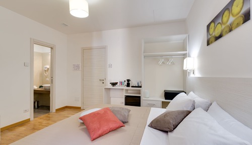 Deluxe Double or Twin Room