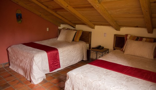 Suite, Garden View