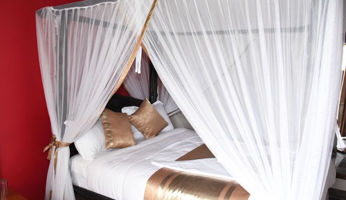 Suite, 1 Queen Bed (Savannah)