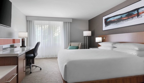 Room, 1 King Bed