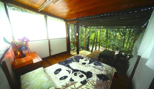 Panoramic Cabin