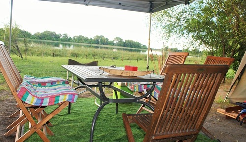 Tent (Lion )