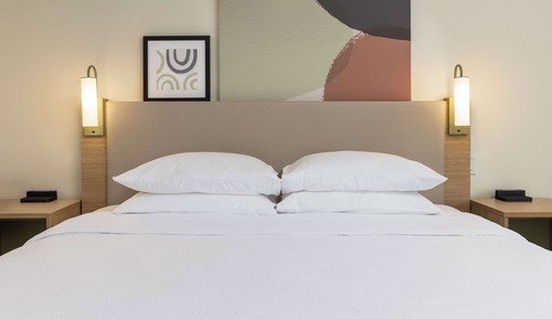 Room, 1 King Bed