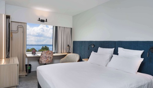Room, 1 King Bed, Lake View
