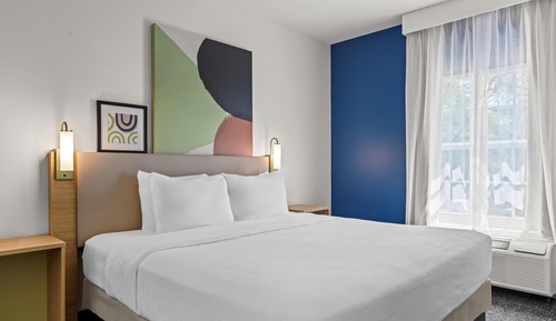 Room, 1 King Bed