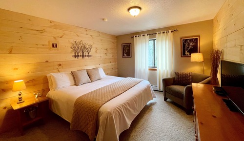 Standard Room, 1 King Bed (102)