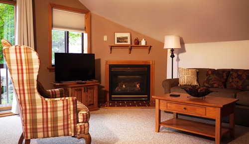 Deluxe Queen Suite, Pull Out Couch, Fireplace and Jetted Tub (207)