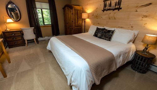Standard Room, 1 King Bed (003)