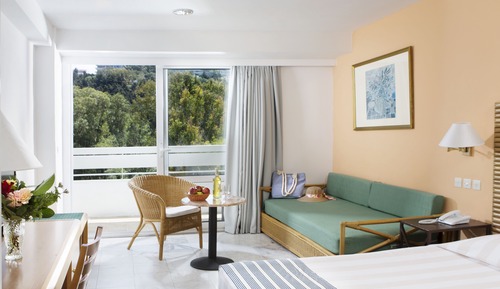 Double Room Single Use, Garden View