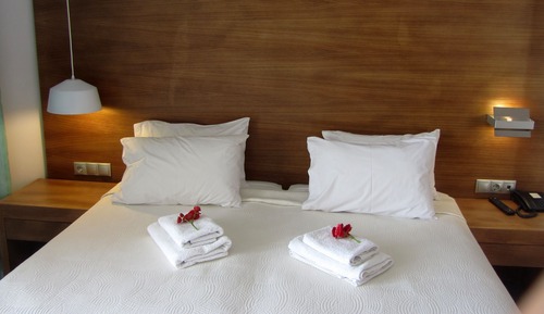 Luxury Twin Room