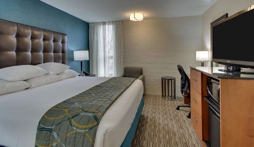 Deluxe Room, 1 King Bed, Accessible, Refrigerator & Microwave (Tub)