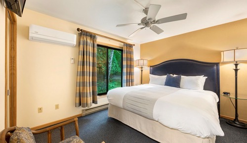 Deluxe Room, 1 King Bed with Sofa bed