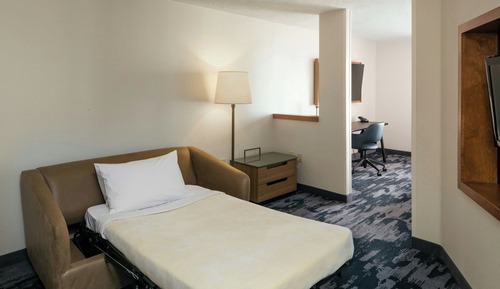 Executive Suite, 1 King Bed with Sofa bed
