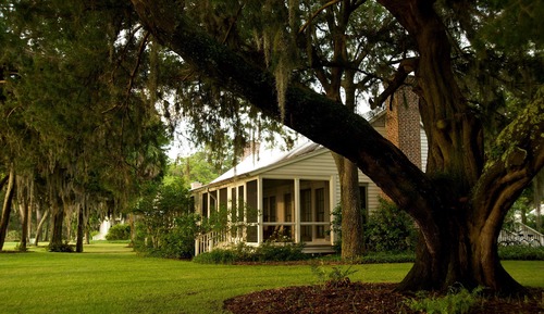 Forest View Cottage