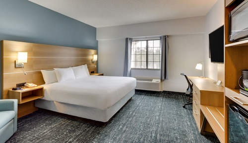 Standard Room, 1 King Bed, Park View