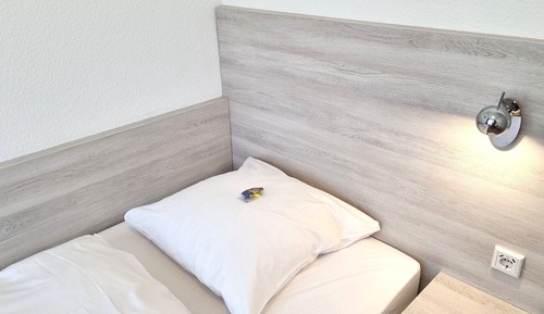 Single Room, Shared Bathroom