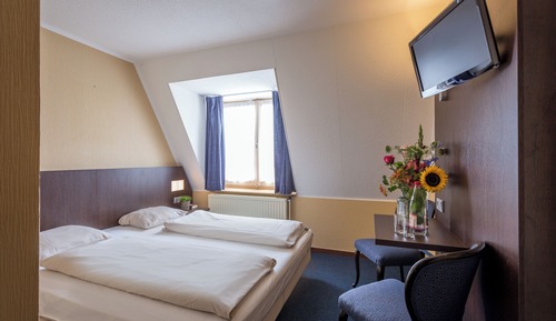 Standard Double Room Single Use