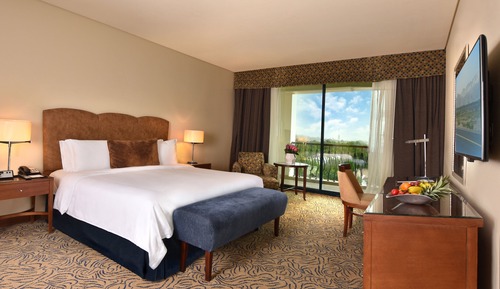 Room, 1 King Bed, Balcony (Guest)