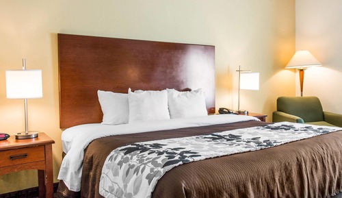 Room, 1 King Bed, Accessible, Non Smoking