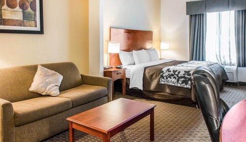 Suite, 1 King Bed, Non Smoking
