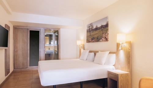 Double Room Single Use, Garden View