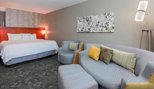Room, 1 King Bed with Sofa bed (Hearing Accessible)